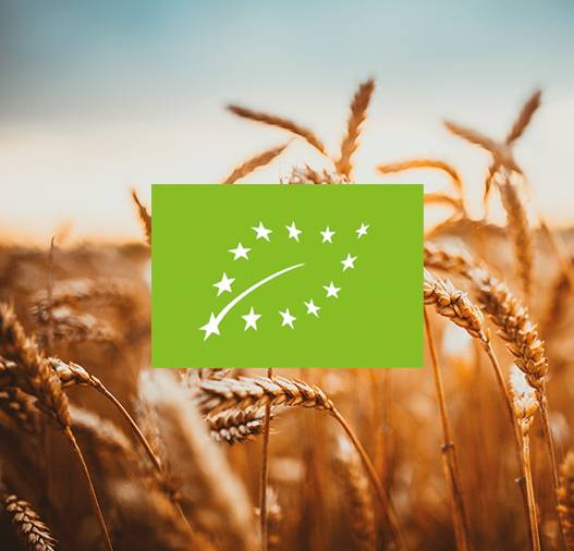 Logo agriculture biologique fond champ de blé Biopartenaire