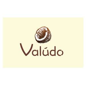 Logo-Valudo