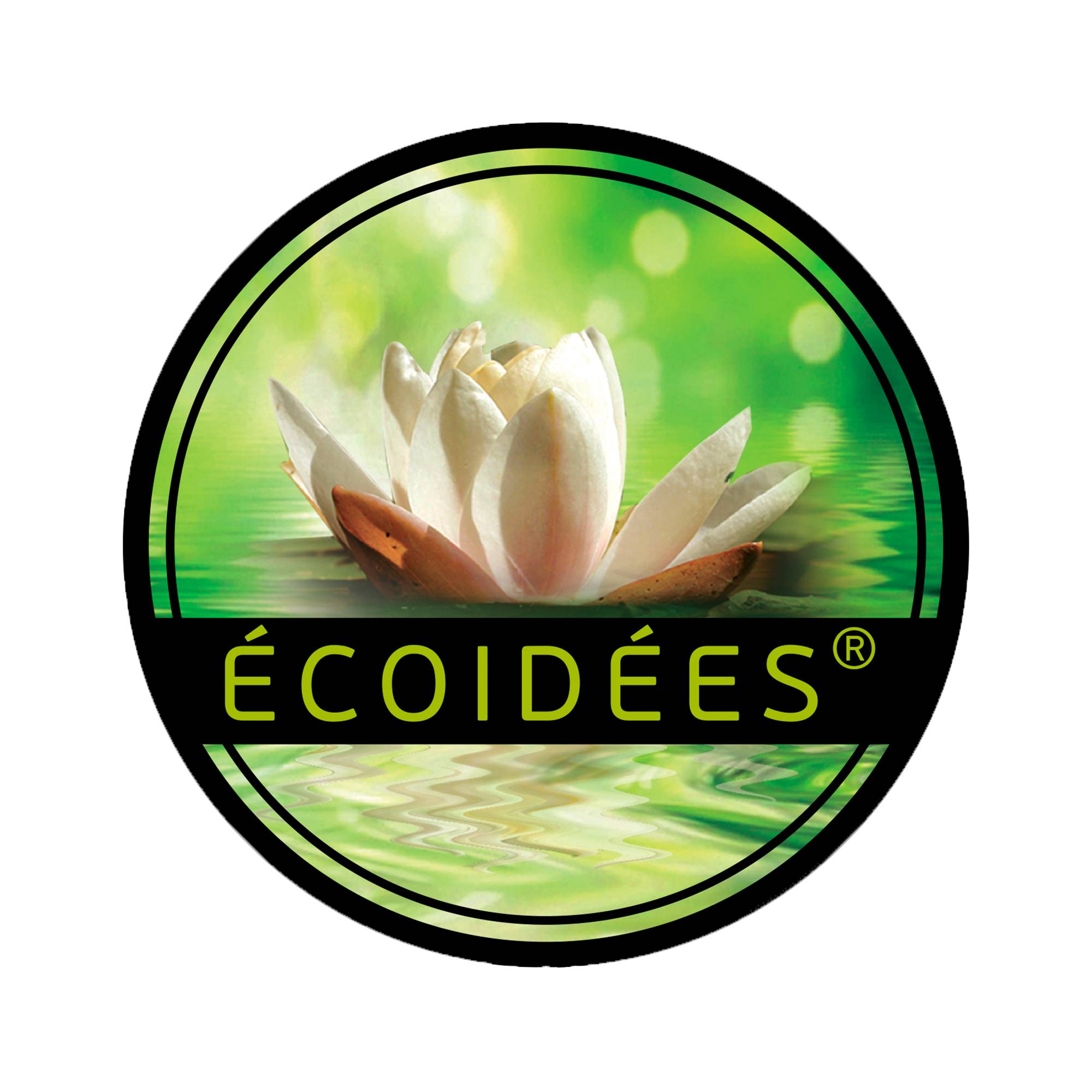 Logo Ecoidées