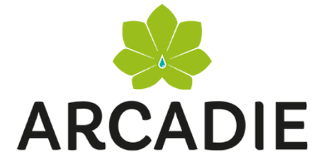 Arcadie