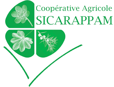 SICARAPPAM