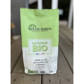 Farine T65 bio