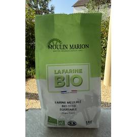 Farine T110 bio
