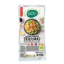 TOFU TERIYAKI