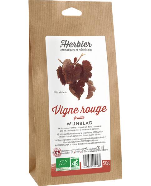 Vigne rouge feuille