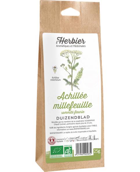 Achillée millefeuille sommité