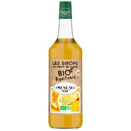 Sirop au sucre de canne BIO Equitable citron