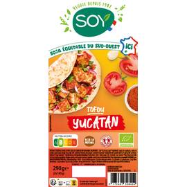 Tofou Yucatan